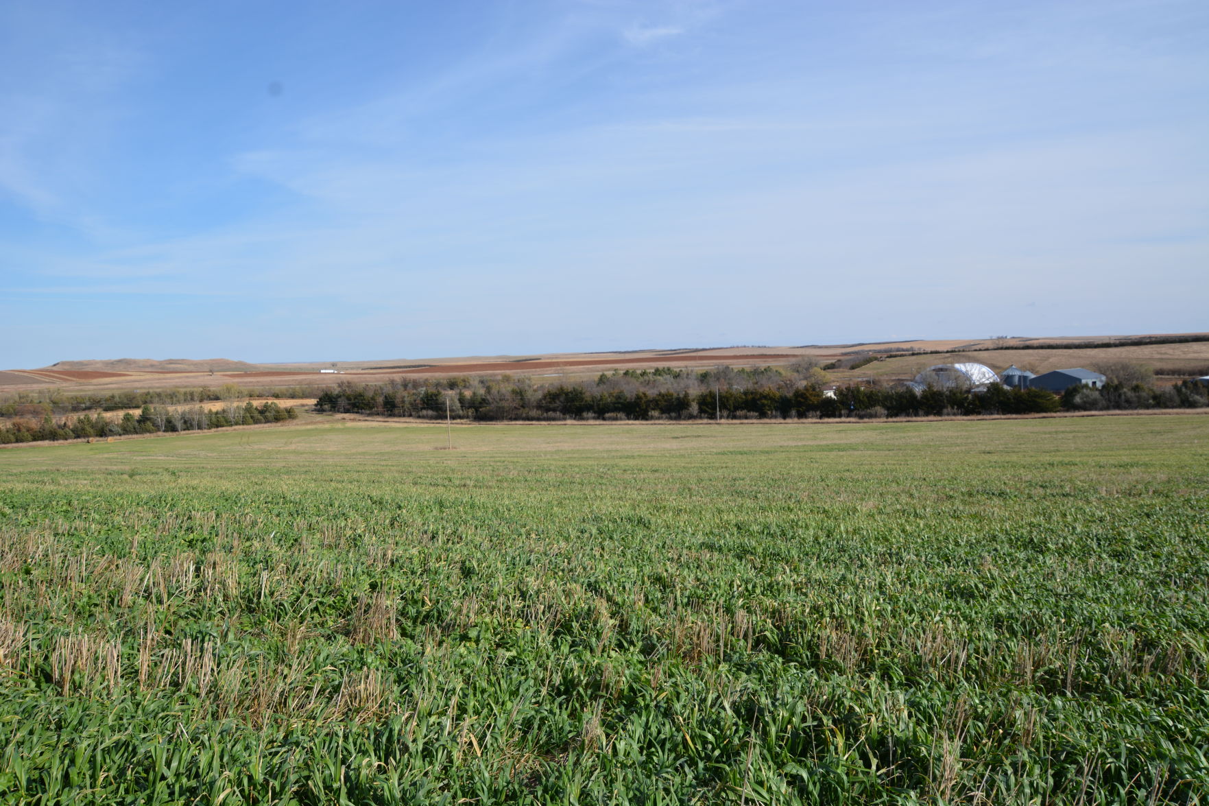 Kelerleber farm